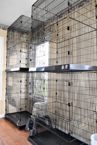 Bed & Biscuit: 153 Fence Ln, Crossville, TN 38571